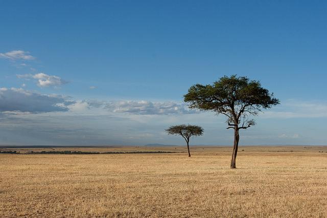 072 Tanzania, N-Serengeti.jpg